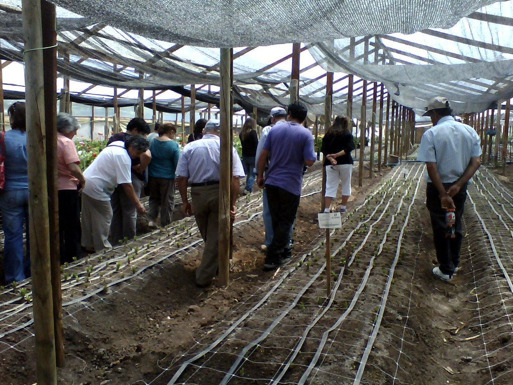 Extension e Innovacion Rural