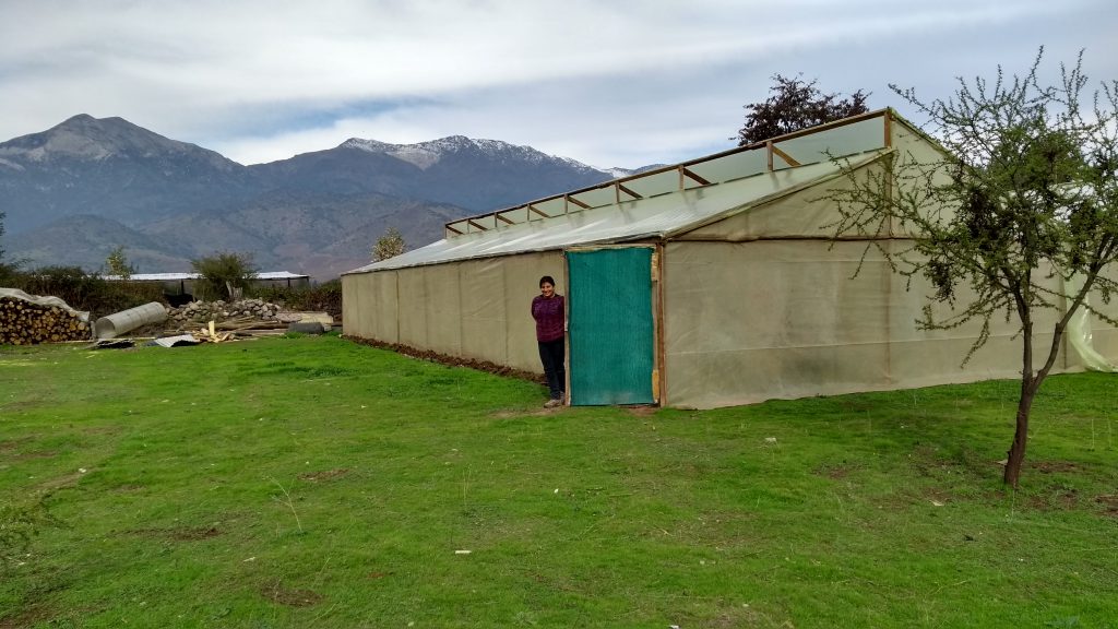 invernadero-con-cerro