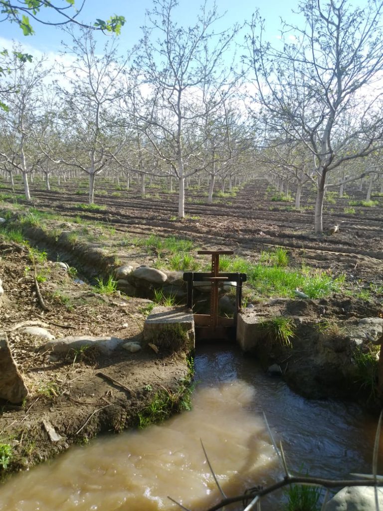 compuerta-fondo-arboles